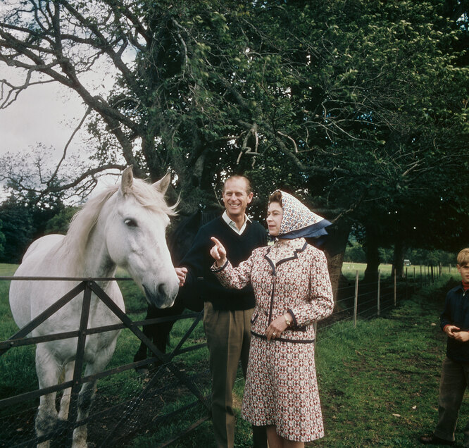 Королева Елизавета II и принц Филипп посещают ферму в поместье Балморал в Шотландии во время годовщины их Серебряной свадьбы, сентябрь 1972 года