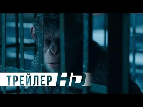 Нажмите и смотрите