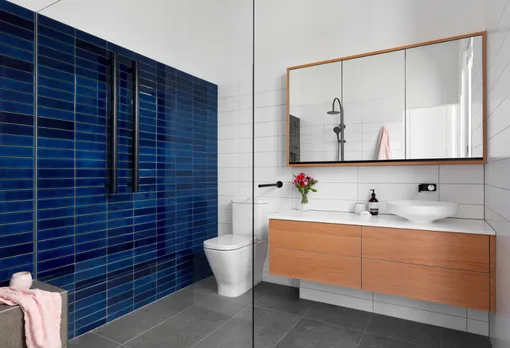 smarterBATHROOMS+ / Houzz.ru smarterBATHROOMS+ / Houzz.ru