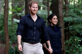 Цена независимости: как будут зарабатывать Гарри и Меган без королевской поддержки