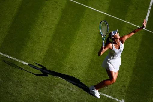 Мария Шарапова организовала свой турнир по теннису Мария Шарапова организовала свой турнир по теннису