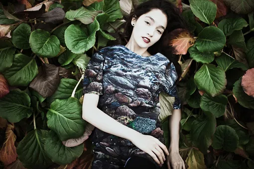 Собственная гордость Собственная гордость