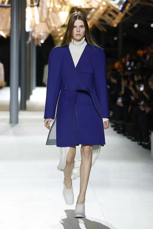 Louis Vuitton осень-зима 2024/25