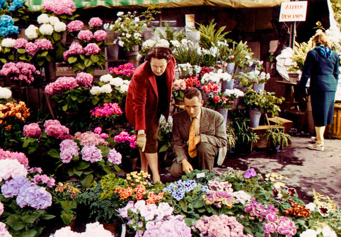 Вернувшись в Париж и поселившись в квартире Кристиана вместе со своим любовником Эрве де Шарбоннери в 1945 году, она получила лицензию на торговлю срезанными цветами и стала продавщицей цветов на рынке Les Halles