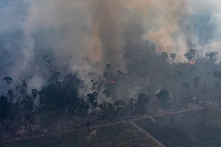 LVMH пожертвуют 10 миллионов евро на борьбу с пожарами в лесах Амазонии