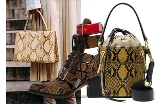 20 аксессуаров с самым модным змеиным принтом, которые разбавят повседневный гардероб