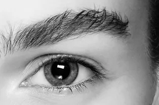 Куда идти за идеальными бровями