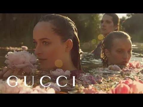 Нажмите и смотрите Нажмите и смотрите