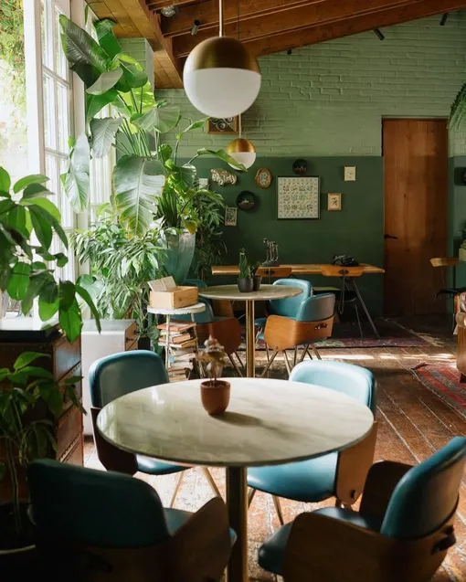 Ресторан Blanc Ресторан Blanc