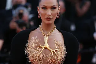 На Каннском кинофестивале запретили «голые» платья: вспоминаем 12 самых смелых образов за всю историю