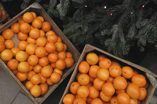 5 продуктов, которые необходимы организму зимой