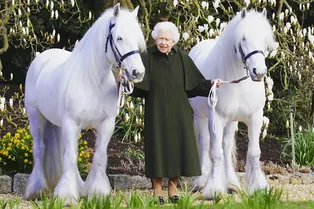 Боже, храни королеву! Елизавета II позирует с пони на праздничном портрете в честь 96-летия