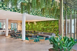 4 отеля для тех, кому не безразлично будущее нашей планеты