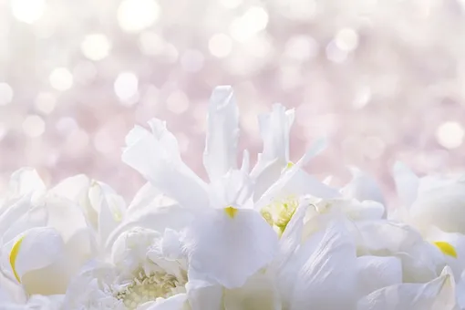 Священный кристалл