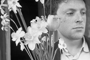 Тарковский, Бродкий, Мураками: чем заняться с 29 марта по 3 апреля