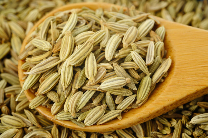 Фенхель: польза для организма
