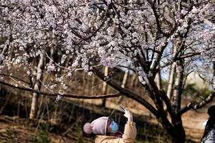 В китайском Ухане впервые не выявлено новых случаев коронавируса, но в Италии — рекордное число жертв