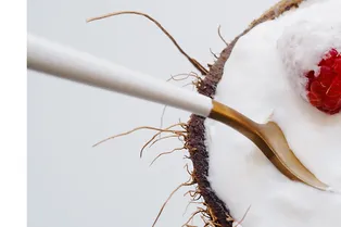 Завтраки от звезды Instagram*, кокосовый йогурт от Даши Лисиченко и прочие ЗОЖ-новости