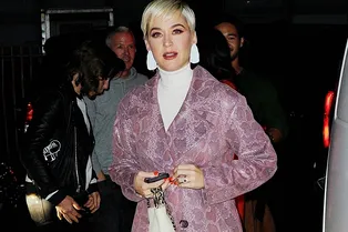 Кэти Перри сходила в театр в ультрамодном костюме с принтом под рептилию