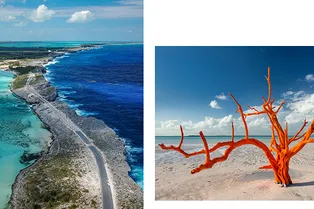 Ради чего стоит лететь на Багамы