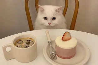 Как перестать пить чай и кофе со сладостями?