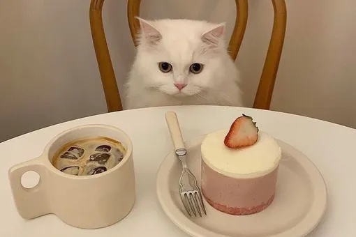 Как перестать пить чай и кофе со сладостями?