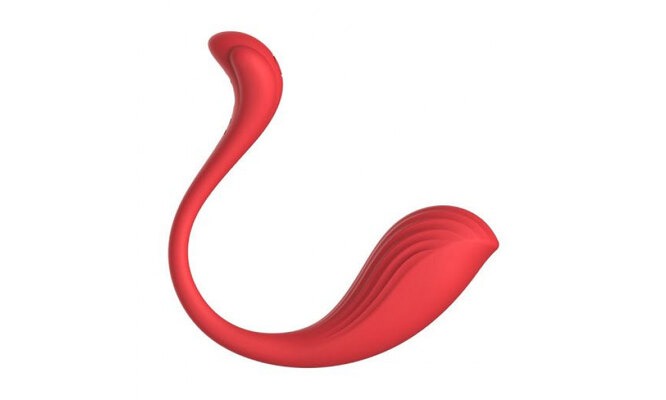 Ол мұны веб-камера алдында жасады