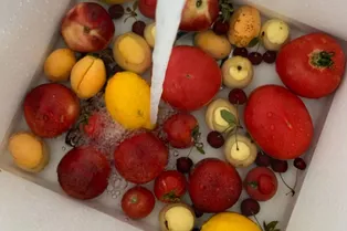 «Противораковая» диета Будвиг: как она работает