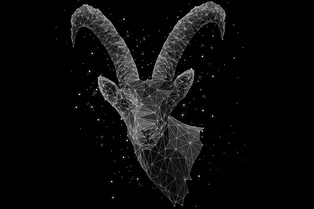 Гороскоп на 2019 год: Козерог