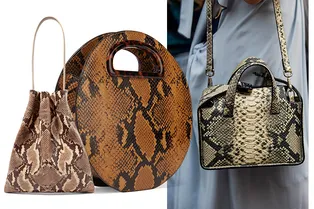 Где купить самую модную сумку сезона: 15 вариантов со змеиным принтом